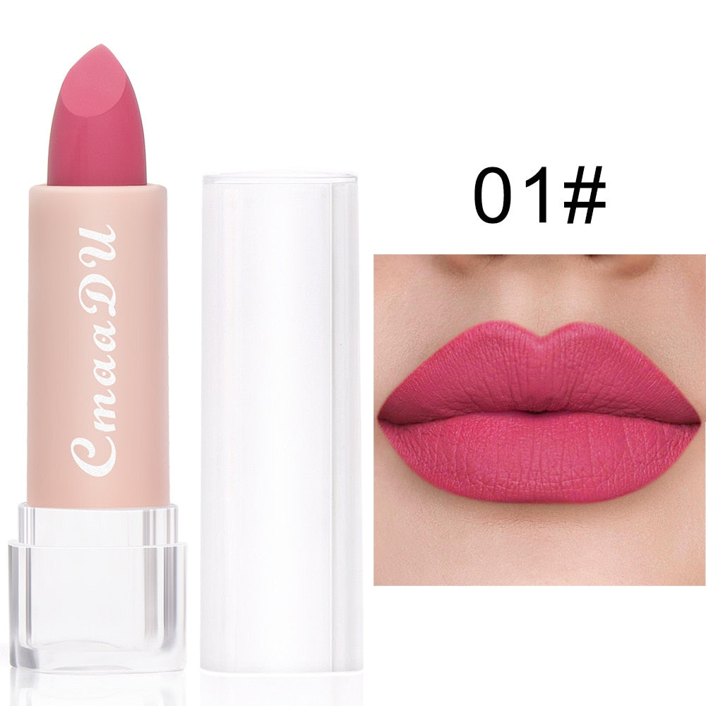 2022 New Sexy 15 Colors Lips Makeup Lipstick Lip Gloss Long Lasting Moisture Cosmetic Lipstick Red Lip Matte Lipstick Waterproof