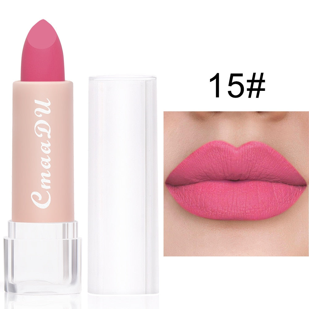 2022 New Sexy 15 Colors Lips Makeup Lipstick Lip Gloss Long Lasting Moisture Cosmetic Lipstick Red Lip Matte Lipstick Waterproof