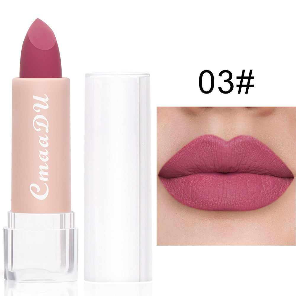 2022 New Sexy 15 Colors Lips Makeup Lipstick Lip Gloss Long Lasting Moisture Cosmetic Lipstick Red Lip Matte Lipstick Waterproof