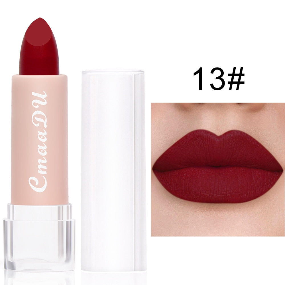 2022 New Sexy 15 Colors Lips Makeup Lipstick Lip Gloss Long Lasting Moisture Cosmetic Lipstick Red Lip Matte Lipstick Waterproof