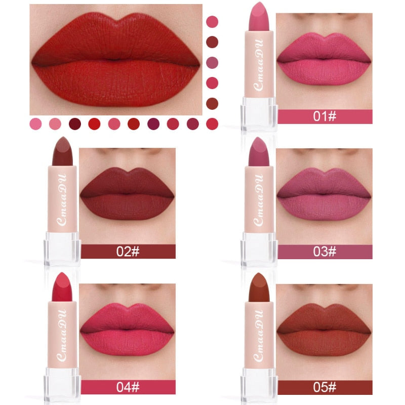 2022 New Sexy 15 Colors Lips Makeup Lipstick Lip Gloss Long Lasting Moisture Cosmetic Lipstick Red Lip Matte Lipstick Waterproof