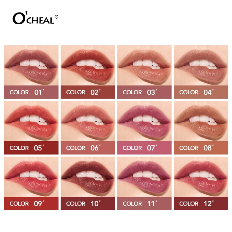 Dual Head 12 Colors Lips Makeup Lipstick Lip Gloss Long Lasting Moisture Lipstick Red Lip Matte Lipstick Waterproof Cosmetics