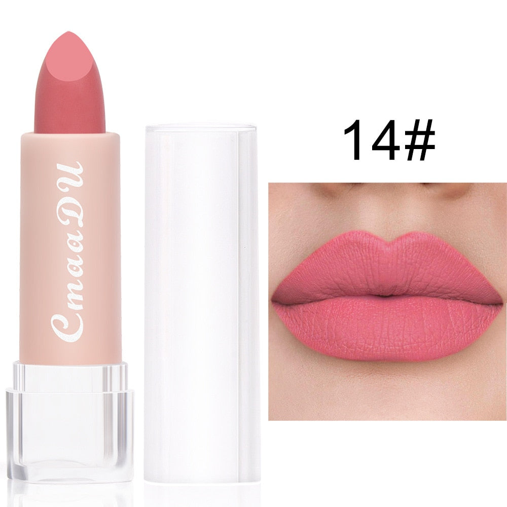 2022 New Sexy 15 Colors Lips Makeup Lipstick Lip Gloss Long Lasting Moisture Cosmetic Lipstick Red Lip Matte Lipstick Waterproof