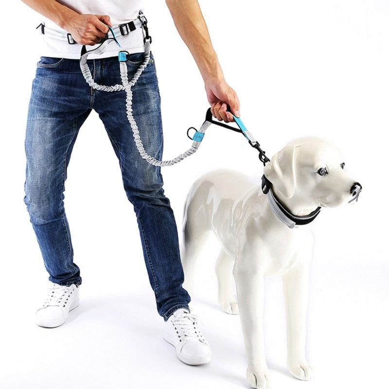 Leash Traction Rope Pet Dog Running Belt Elastic Hands Freely Jogging Pull Dog Leash 2 Colors